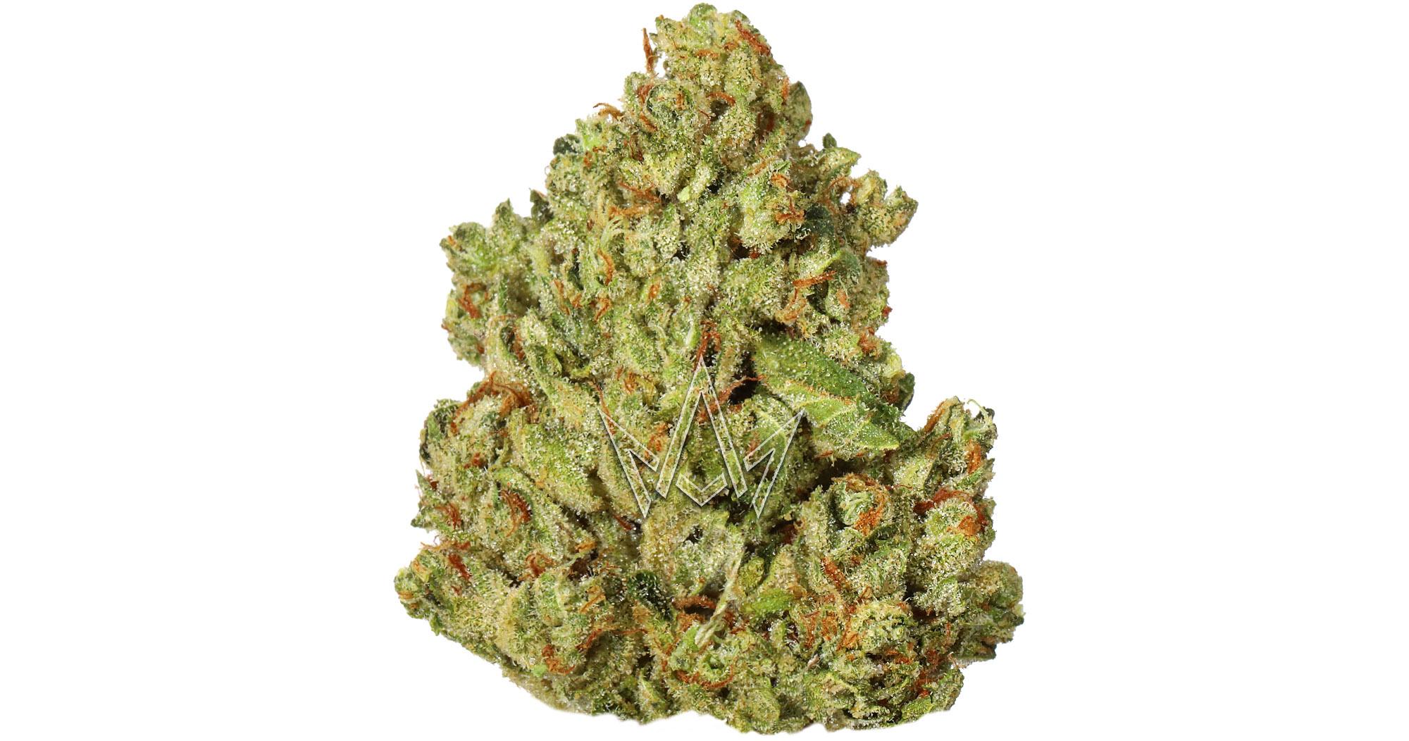 Lemon Cherry Gelato